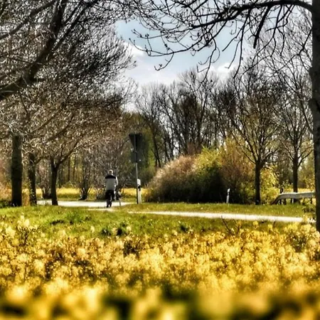 Apartmentvermittlung Mehr Als - Objekt 11 דירה *